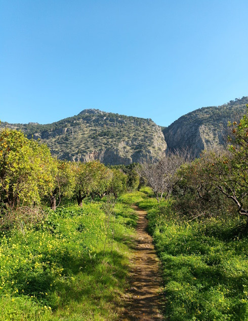 media.parco-favorita-1